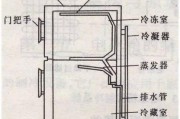 拆装开门冰箱的步骤及注意事项（轻松掌握开门冰箱的拆装方法）