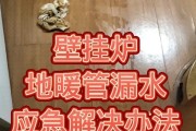 壁挂炉软管漏水解决方法（如何修复壁挂炉软管漏水问题）