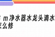 净水器水不循环的原因及解决办法（探究净水器水不循环的问题）