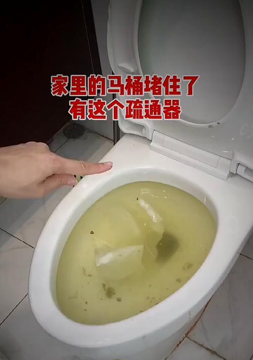 解决马桶堵塞问题的利器——马桶疏通器（马桶疏通器使用方法详解）