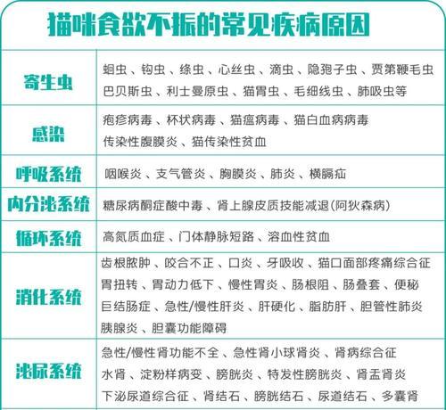 解析夏普油烟机反味的原因及解决方法（探究夏普油烟机反味背后的原因及如何解决）