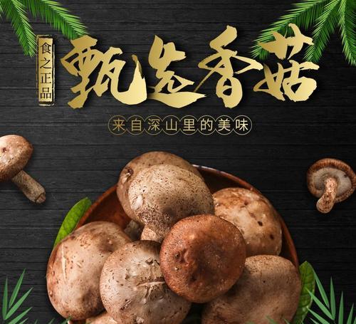 香菇冰柜储存方法（保鲜技巧让香菇更持久）