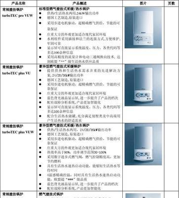 燃烧壁挂炉故障代码解析（探寻燃烧壁挂炉故障代码的原因和解决方法）