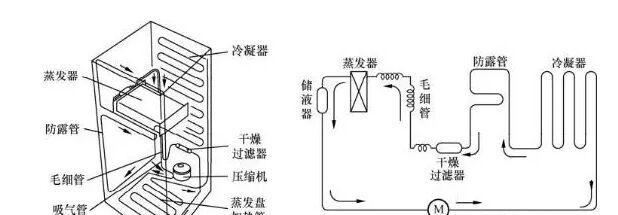 电冰箱是如何工作的（揭秘电冰箱的工作原理）