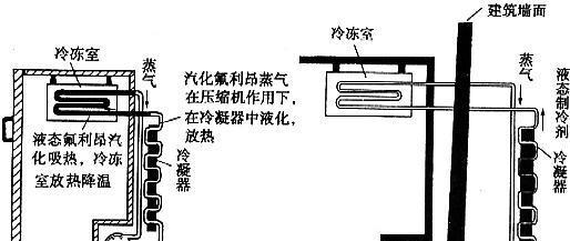 冰箱的工作原理及其重要性（解析冰箱如何保持食物的新鲜与安全）