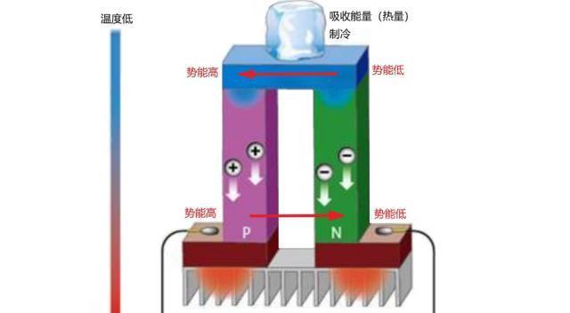 冰箱的工作原理及其重要性（解析冰箱如何保持食物的新鲜与安全）