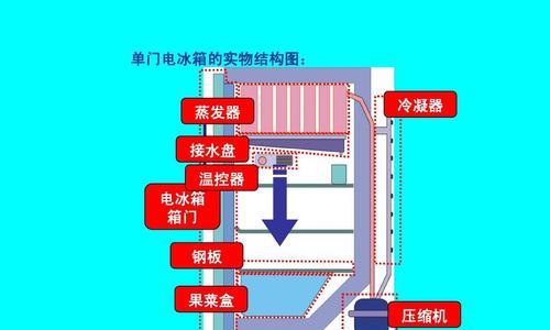 冰箱的工作原理及其重要性（解析冰箱如何保持食物的新鲜与安全）